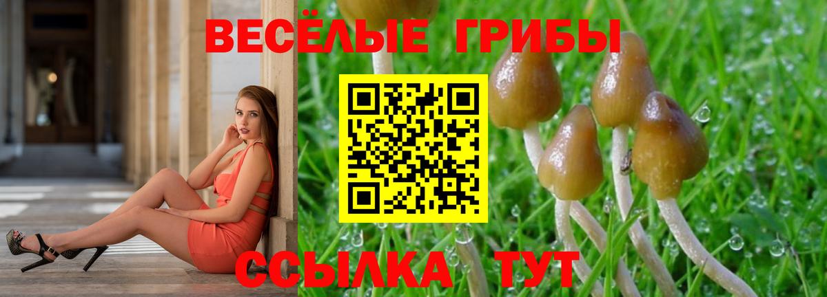 Галлюциногенные грибы GOLDEN TEACHER  Псилоцибиновые грибы GOLDEN TEACHER  Карабулак  Вход с VPN 